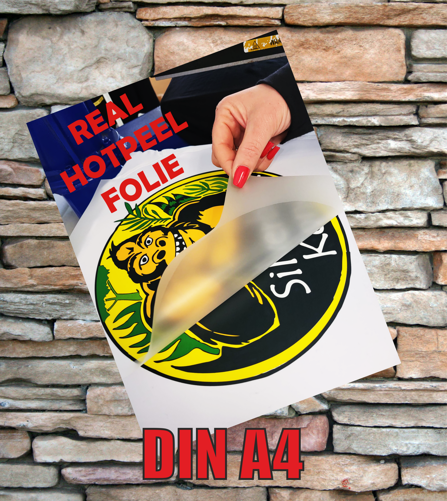 DIN A4 (21cm × 29,7 cm)